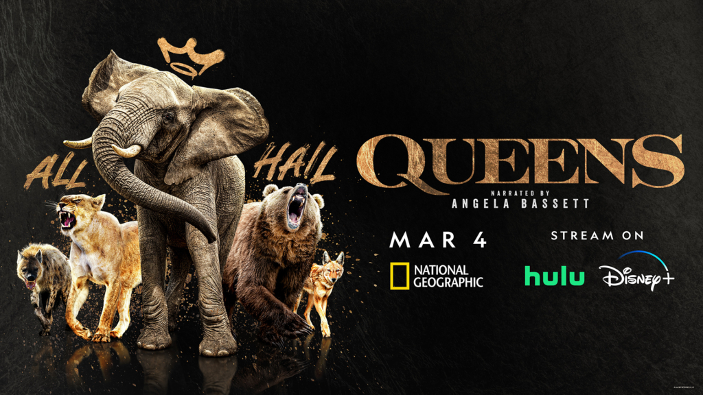 Queens Key Art Image