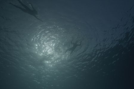 Drama recreation of Shelli Trentcosta swimming to her son Trent Trencosta after he's been bitten by a shark. (National Geographic/Samuel Gonzalez)