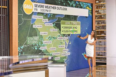 GINGER ZEE