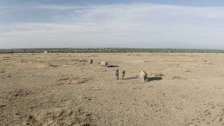 Zacharia Mutai, the keeper of the Northern White Rhinos, and Ami Vitale, photographer, follow the rhinos. (credit: National Geographic)