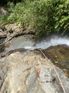 Chef Kristen Kish will rappel down this waterfall to collect a type of fresh watercress which only grows in that particular location, in Hacienda Mamecillo, Panama. (National Geographic for Disney/Missy Bania)