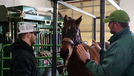 Owner Cole Schmidt listens as Dr. Ben Schroeder speaks to him about the wound on his horse Sweetheart. (National Geographic)