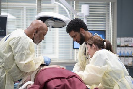 JAMES PICKENS JR., ANTHONY HILL, ADELAIDE KANE