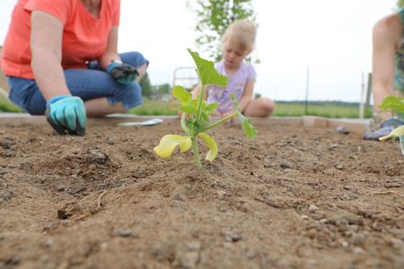 Judi Reinhold and Abigail Pol work on one of the garden's boxes at the Pol family farm. (National Geographic)