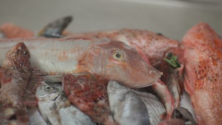TUCCI IN ITALY - “Sicily” - A selection of freshly caught Mediterranean fish, ready to be cooked for the couscous broth. (National Geographic)TUCCI IN ITALY
