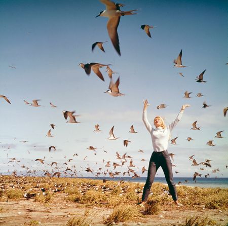 Valerie on beach surrounded by birds in flight, 1971. (photo credit: Ron & Valerie Taylor)