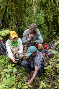 Sabine Henry, Dr. Steve Boyes, and Emmanuel Niyonkuru collect data on the water quality in Nyungwe Forest National Park, Rwanda. (National Geographic/Philip Jones)