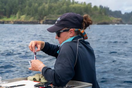 Lauren Meyer analyzing a tissue sample. (National Geographic/Sophy Crane)