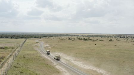 Scientists racing against the clock to get the frozen embryos to Ol Pejeta for implantation before time runs out.  (credit: National Geographic)