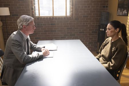 JASON ALEXANDER DAVIS, JANINA GAVANKAR