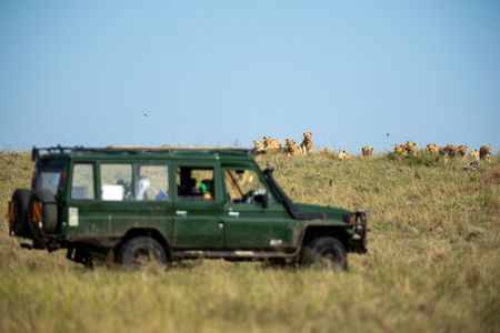 The film vehicle waits below as members of Summer's Pride rest on higher ground within their territory. (National Geographic/Simon Blakeney)