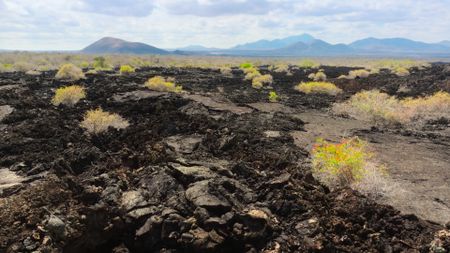 A volcanic landscape in East Africa. (National Geographic)
