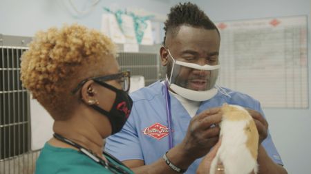 Dr. Hodges has a quick talk with Peanut, the guinea pig, before surgery. (National Geographic for Disney)