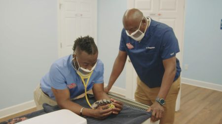 The Docs give Blue, the blue-tongued skink, a thorough check-up. (National Geographic for Disney)