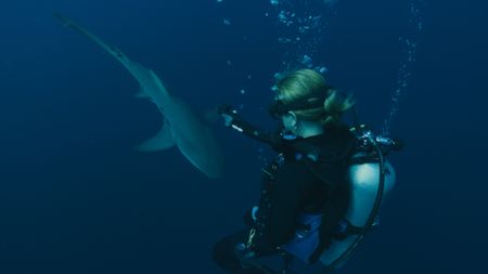 Mariana van Zeller shark dives off the coast of Florida. (National Geographic)