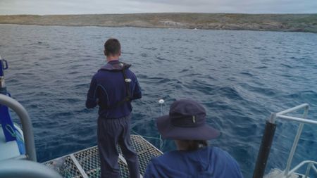 Charlie Huveneers looking out into the water and assessing the Great White shark nearby. (National Geographic/Jonathan Shaw)