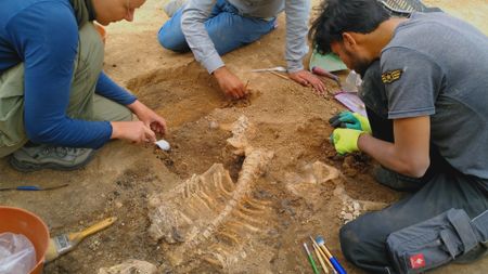 Ulrike Bergur excavates the human remains at the Nineveh dig in Nineveh, Iraq. (Windfall Films)