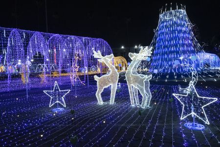 GREAT CHRISTMAS LIGHT FIGHT