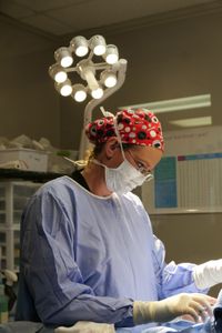Dr. Erin Schroeder examines her work after a dog's vulvoplasty. (National Geographic)