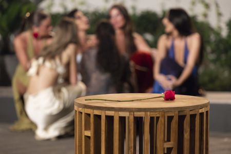 BACHELOR IN PARADISE
