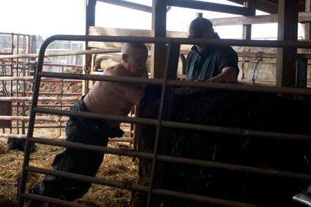 Dr. Pol attempts to straighten out a tangled-up calf. (National Geographic/Cecillia Odou)