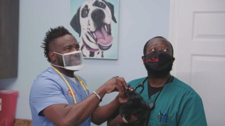 Dr. Hodges uses an otoscope to take a look in the ear of Coco, the rabbit. (National Geographic for Disney)