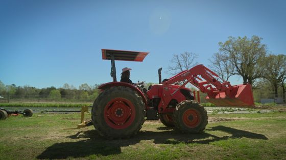Mississippi