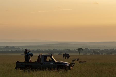 Faith Musembi stands in the back of the film vehicle, working with the crew to capture the lions walking in the background, while an elephant moves further back across the landscape. (National Geographic/Abigail Brown)