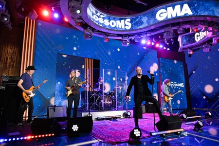 GIN BLOSSOMS