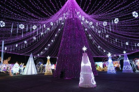 GREAT CHRISTMAS LIGHT FIGHT