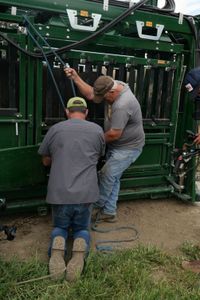 Dr. Ben Schroeder works on the bull's foot while owner Terry Rohan holds the foot in place. (National Geographic)