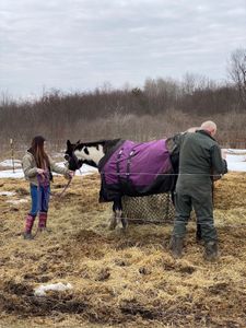 Dr. Pol finds that Michele's horse, Country, has bad diarrhea. (National Geographic/Bobby Falcon-Hart)