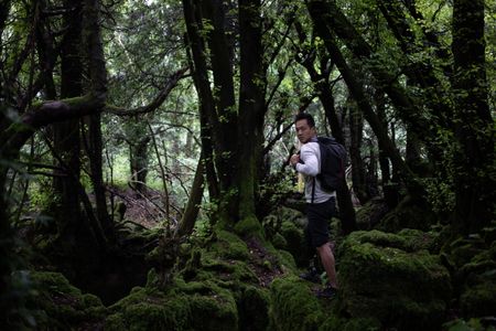 Coleford, UK - Albert Lin in a forest in Coleford, UK. (National Geographic/Hugh Campbell)