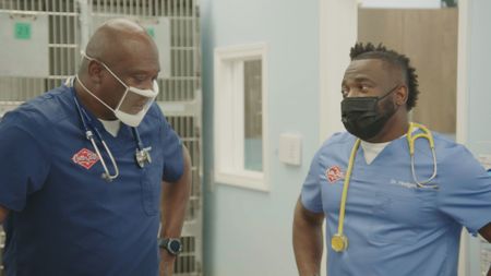 The Docs at Critter Fixer discuss the treatment plan for a patient. (National Geographic for Disney)