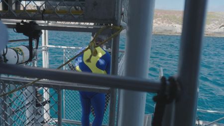 Ryan Johnson getting prepared for the upcoming dive in the Neptune Islands. (National Geographic/Jonathan Shaw)