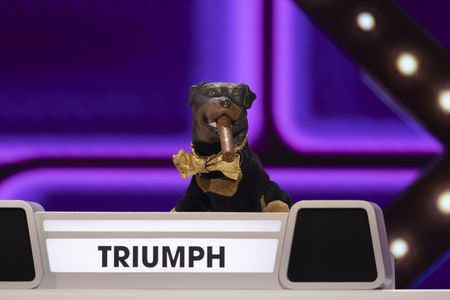 TRIUMPH THE INSULT COMIC DOG
