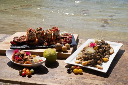 Gordon Ramsay's final dishes. (National Geographic/Justin Mandel)