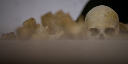 Tyler Jane Doe’s remains. (National Geographic)
