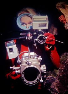 Valerie Taylor underwater with camera equipment, 1970. (photo credit: Ron & Valerie Taylor)