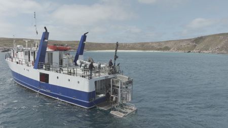 Drone shot of the Rodney Fox boat charter as the crew prepare for their dive with a Great White Shark. (National Geographic/Jonathan Shaw)