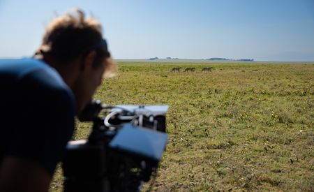 Bertie Gregory looks through his camera lens at three cheetahs walking in a line. (credit: National Geographic/Jigar Ganatra)