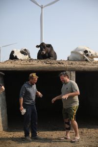 Ben Reinhold and Charles Pol laugh in front of the sheep hut while three cows lay on top of it at the Pol family's farm. (National Geographic)