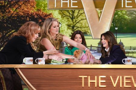 JOY BEHAR, SARA HAINES, ANA NAVARRO, LISA VANDERPUMP