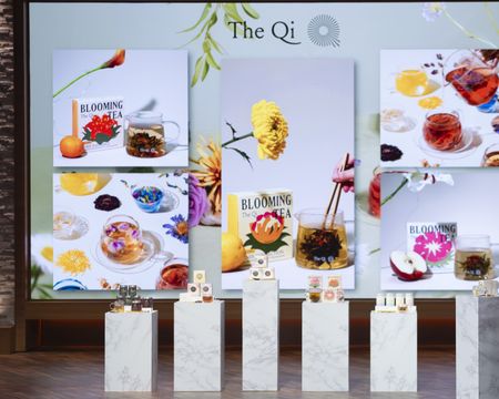 THE QI