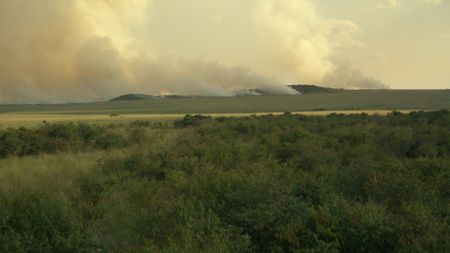 A fire burns on the horizon of Rhino Ridge Plains in the Maasai Mara Reserve, the core territory of Summer's Pride. (National Geographic/Anthony Njuguna)