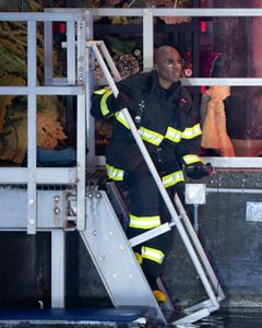 AISHA HINDS