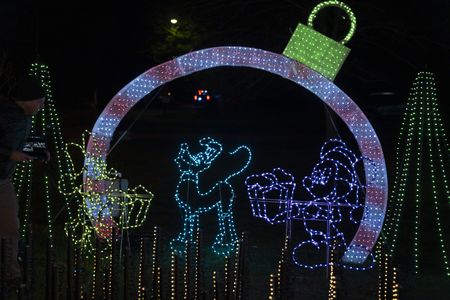 GREAT CHRISTMAS LIGHT FIGHT