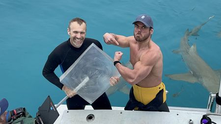 Ross Edgley gets ready to dive with tiger sharks for the first time with shark expert, Mike Heithaus from Florida International University. They have a cunning plan, if they can get a tiger to take a bite from this giant lollipop, they'll be able to work out how many calories a tiger shark can eat in one bite. (National Geographic/Nathalie Miles)