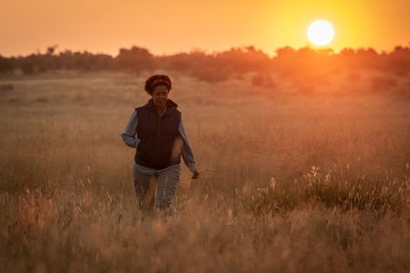 Paula Kahumbu walks through the tall grass of Na'an Ku Se after coming up close to a Desert elephant. (National Geographic for Disney/Robbie Labanowski)