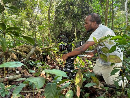 Camera operator Clement Kiragu filming in the forests of Gabon. (National Geographic/Lil Todd-Jones)
